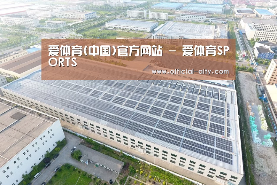 案例展示二