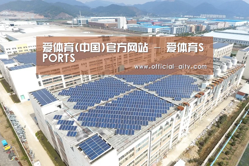 案例展示三