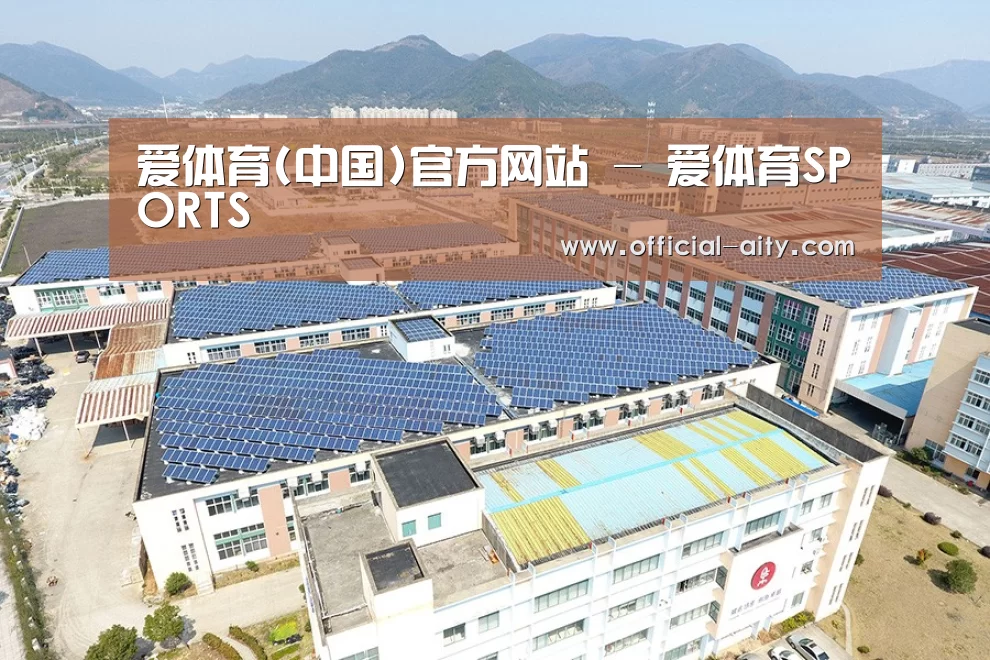 案例展示三