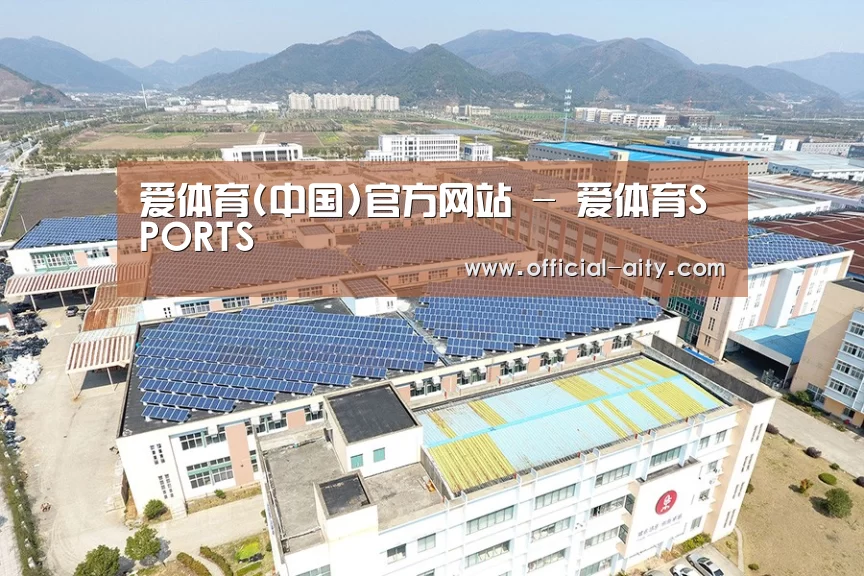 案例展示三