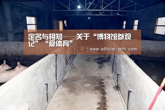 
	<h1>定名与相知——关于“博物馆参